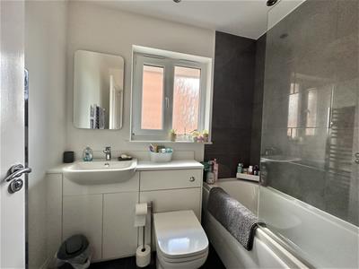 Picture 21